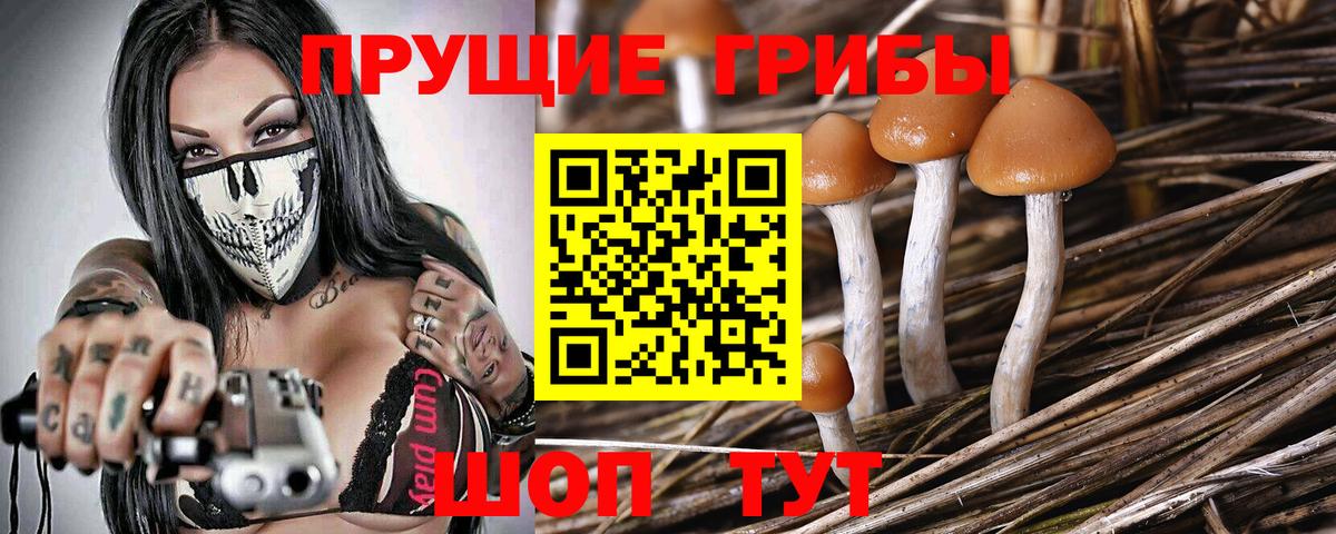 Галлюциногенные грибы Psilocybine cubensis  Вход с VPN  Краснокаменск 